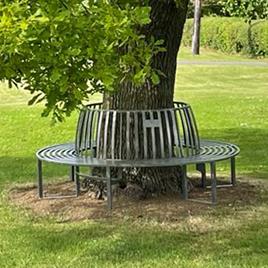 Circular Tree Bench